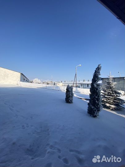 Продается птицефабрика