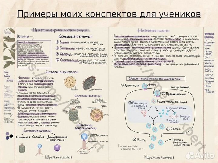 Репетитор по биологии школьная программа, ОГЭ, ЕГЭ