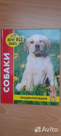 Энциклопедия