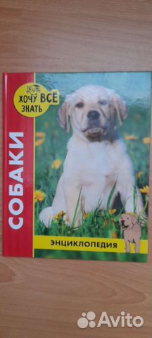 Энциклопедия