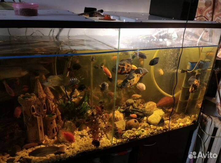 Аквариум 800л