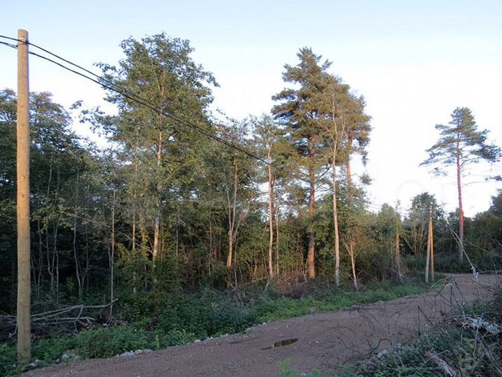 Участок 24,5 сот. (ИЖС)