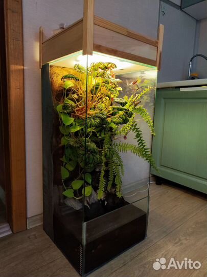 Палюдариум аквариум