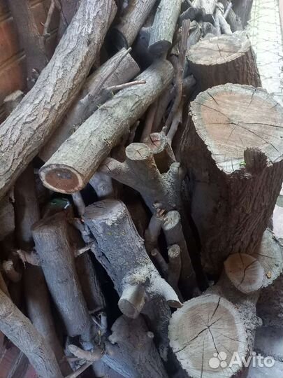 Дрова тута