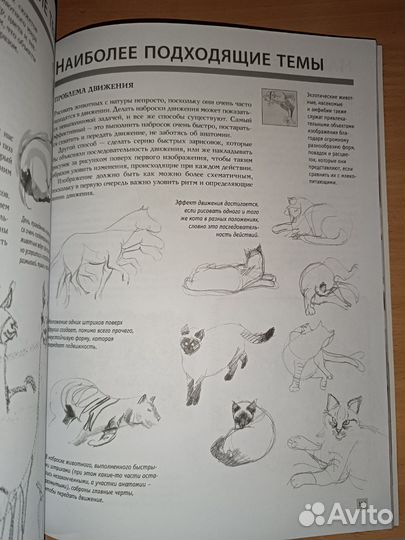 Основы скетчинга