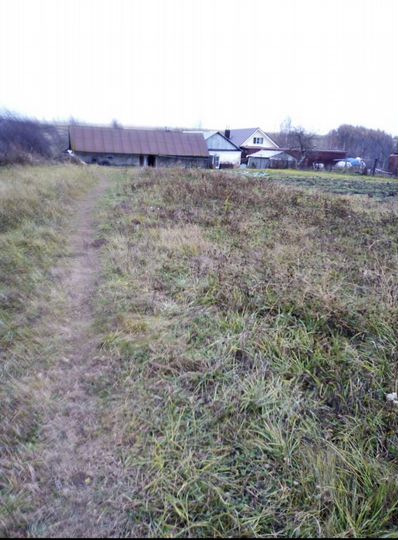 Участок 38 сот. (СНТ, ДНП)