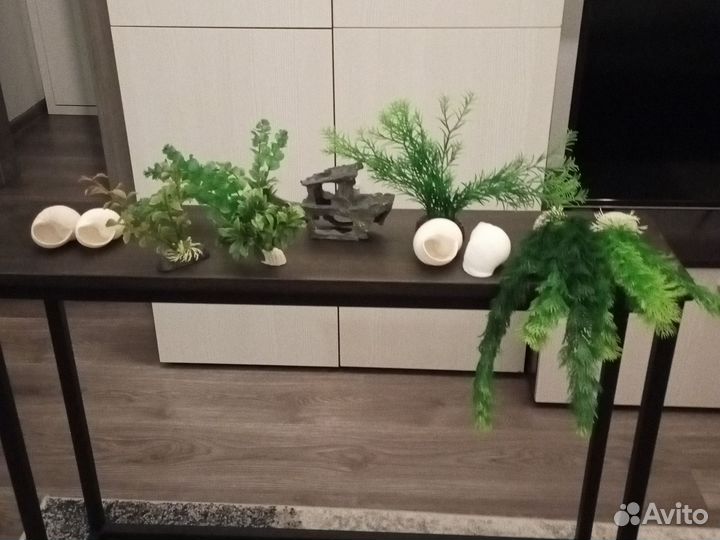 Растения для аквариума и террариума с декорацией