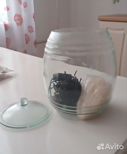 Стеклянная ёмкость с крышкой времён СССР