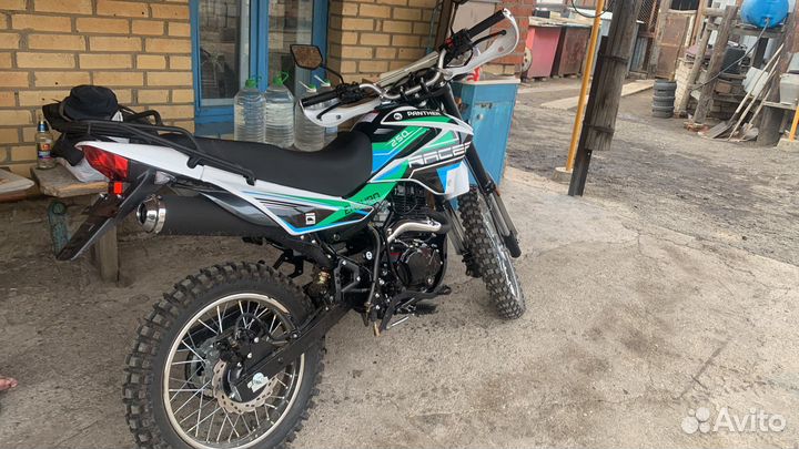 Racer panthers 250