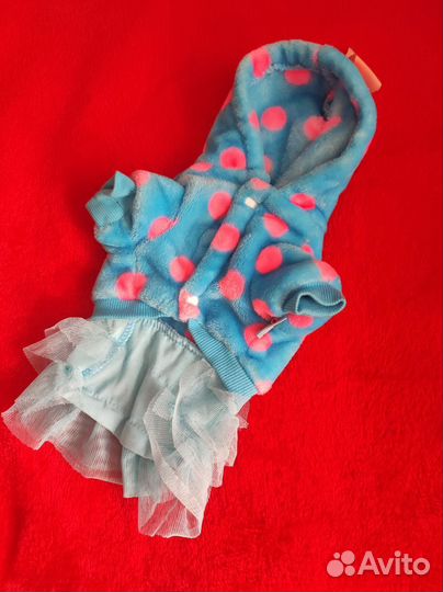 Одежда для собак мелких пород