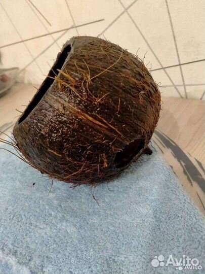 Укрытие - дом для рыб/раков/ хомяков/ящериц.Камни