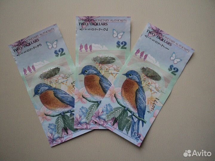 Бермуды. Тонга. Джибути. Пресс