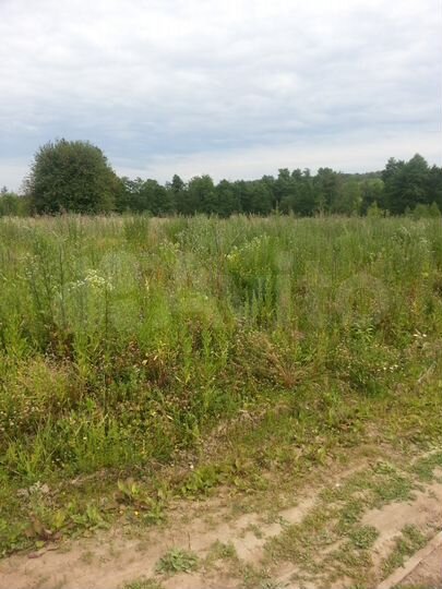 Участок 15 сот. (ИЖС)