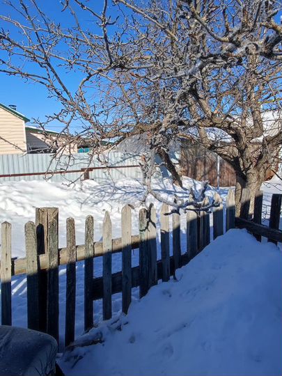 Дом 50 м² на участке 10 сот.