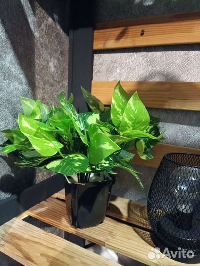 Искусственные растения IKEA аналог для декора