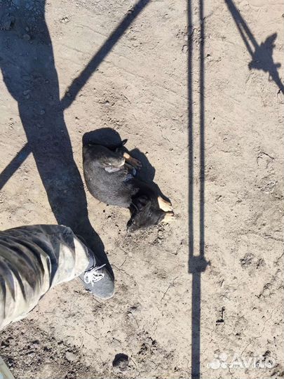 Малыш на стройке