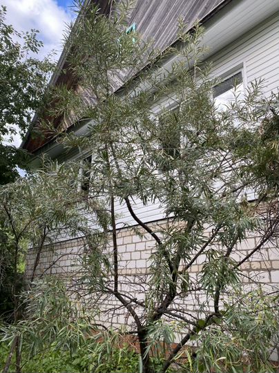 Дом 130 м² на участке 50 сот.