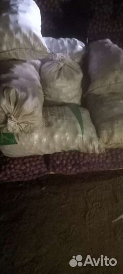 Картофель на корм животным