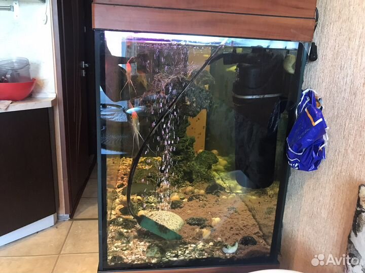 Аквариум 200 литров с тумбой