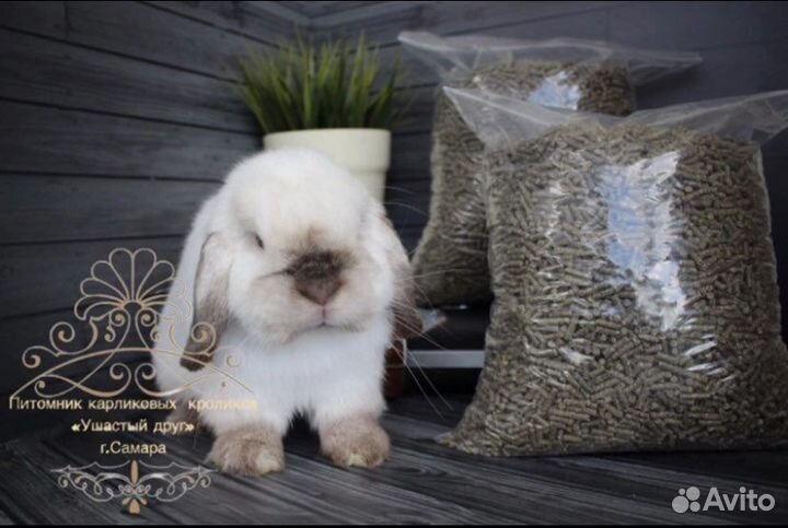 Корм для кроликов