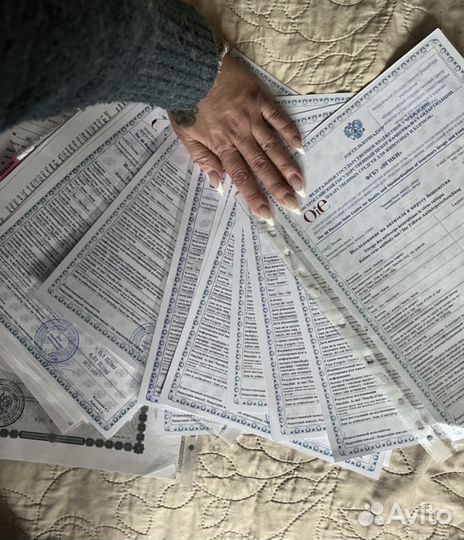 Справки для животных на выезд,титры, вет паспорт