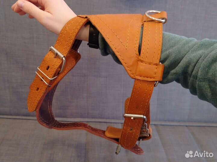 Шлейка для средней собаки