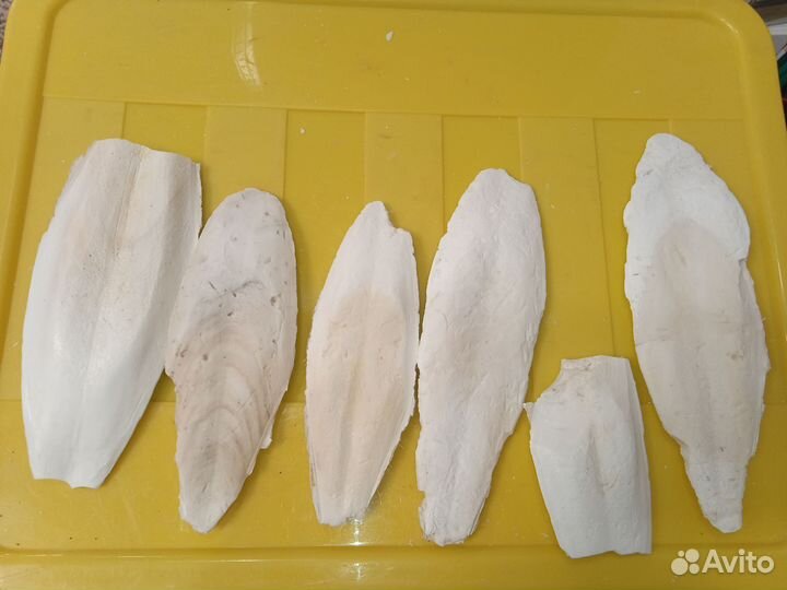 Панцирь каракатицы(кальций)