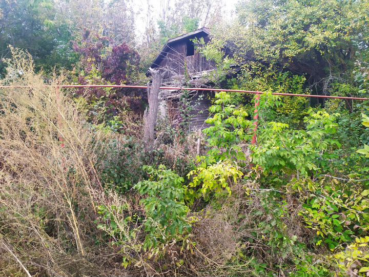 Дом 45,1 м² на участке 10 сот.