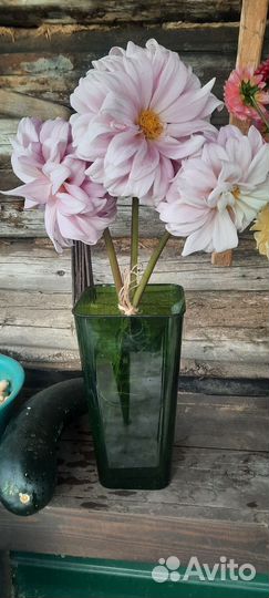 Охапки цветы, свежая срезка