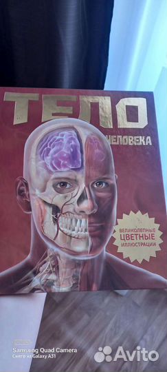 Развивающие книги для детей