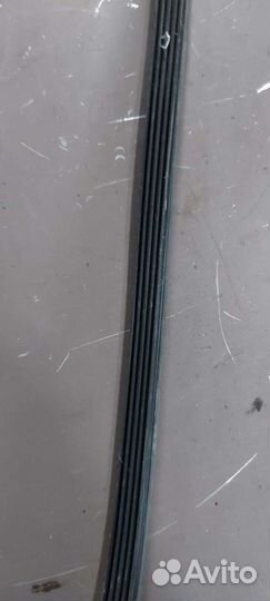 Ремень приводной на Volkswagen Passat B5