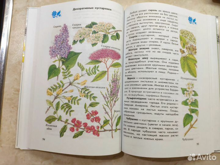 Атлас определитель от земли до неба