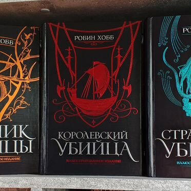 Сага о видящих. Иллюстрированное издание