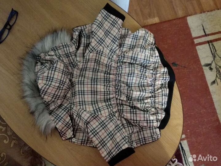 Курточка для мелких собачек