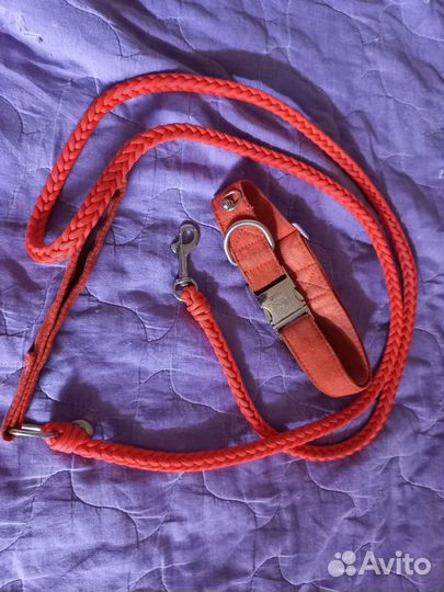 Ошейник и поводок