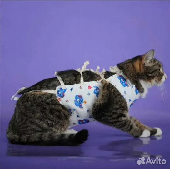 Стерилизация кошек, Кастрация котов, стрижка