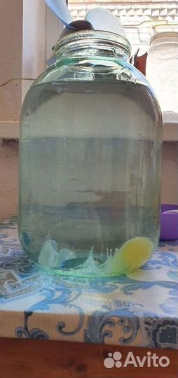 Гадание на кофейной гуще, карты