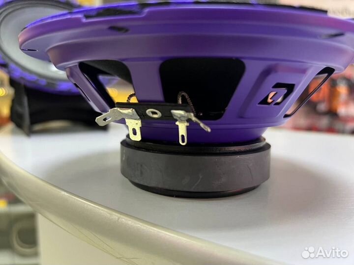 Новинка динамики DL Audio 165