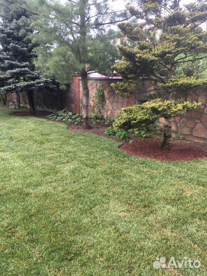 Укладка и продажа газона