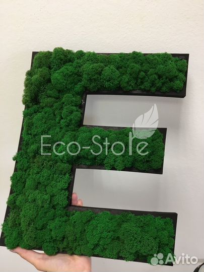 Стабилизированный мох.Буквы из мха. Логотип из мха