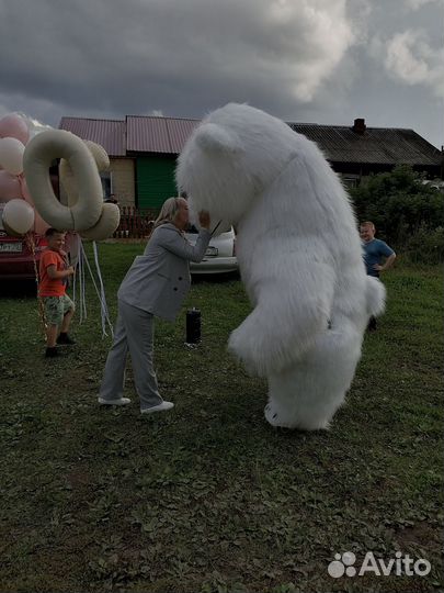 Ростовая кукла Белый Мишка поздравление