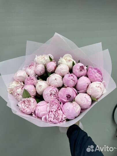 Букет пионов 25 штук