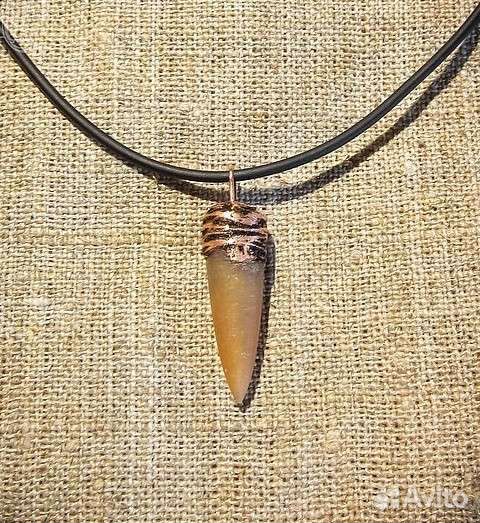 Окаменелости. Белемниты