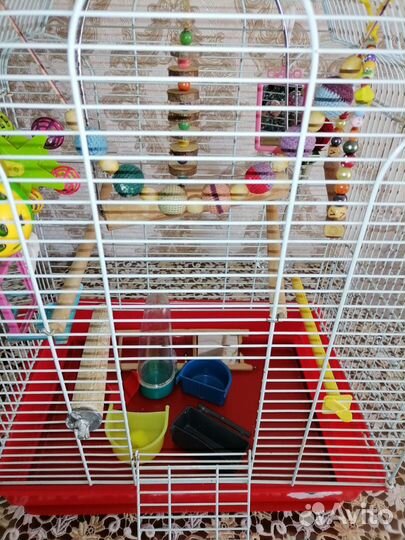 Клетка для попугая