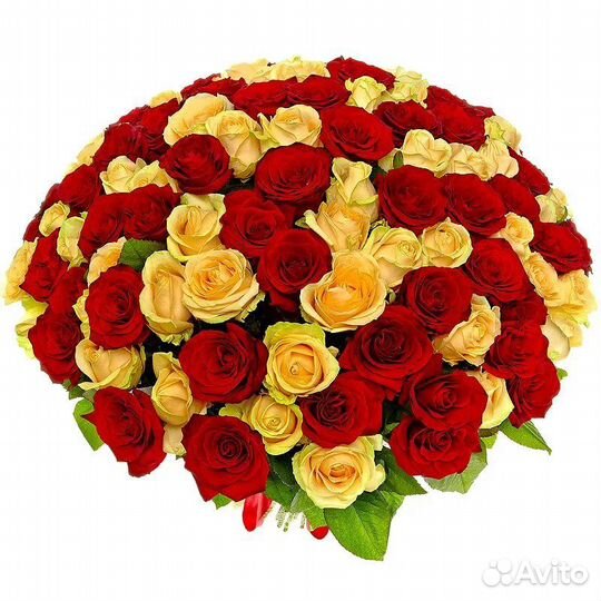 Букет из 65 роз Цветы Красноярск