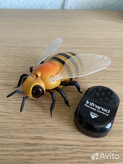 Пчела на пульте управления