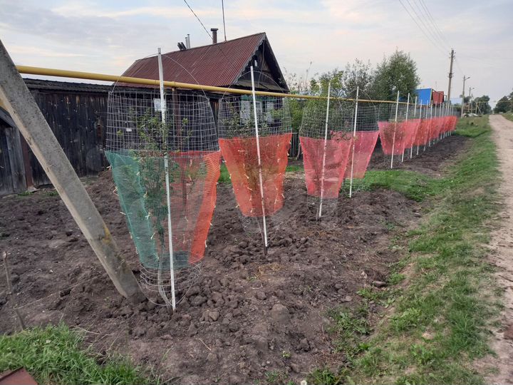 Дача 20 м² на участке 27 сот.