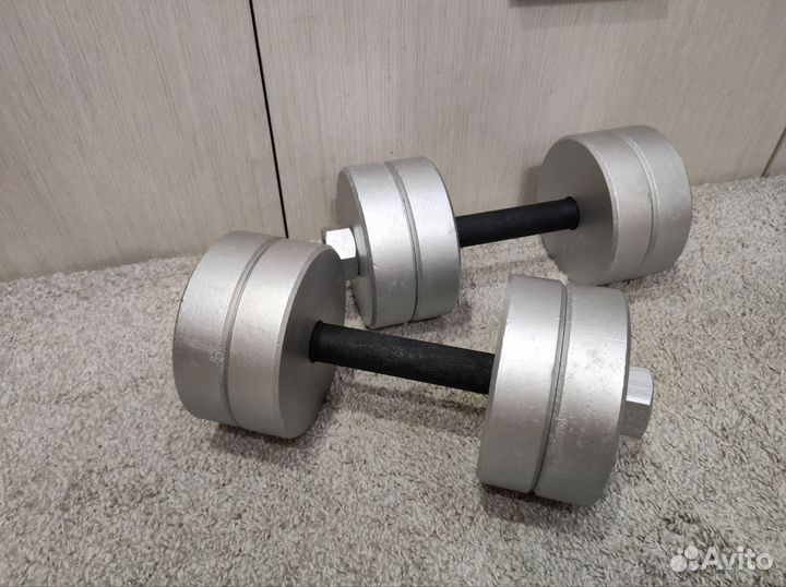Гантели разборные 44 кг (2х22)