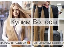 Скупка волос Красноярск Продать волосы