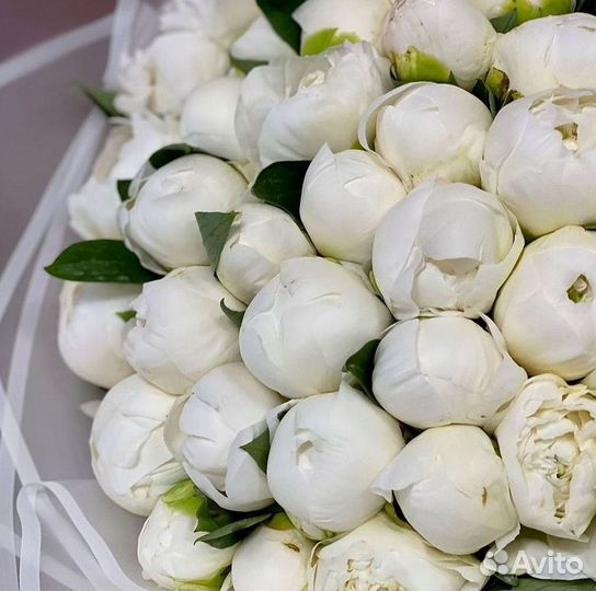 Пионы Букет пионов